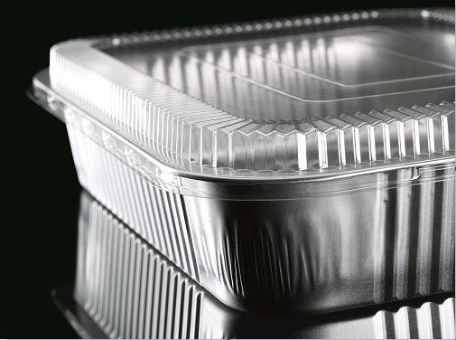 disposable takeaway container